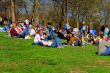 Crowd