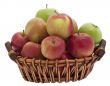 Apple basket