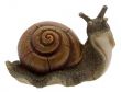 Snail