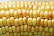 Wet corn