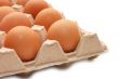 Eggs in tray