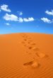 walking on Sahara