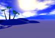 Desert at dawn