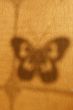 Shade of the butterfly on a wooden yellow wall