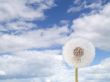 blowball and sky
