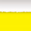 yellow tear divide