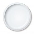 dinner plate
