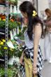 Young woman buying flowers on the market.