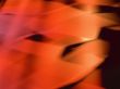 Orange background