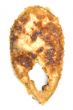 fried fish steak