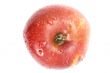 Red apple