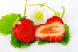 Strawberries and flowers on white background