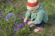 Small boy is playing with flowers