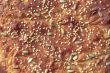 Brown bread background