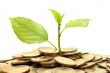 Coins and plant, isolated on white background