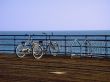 Two romantic bicycles near the ocean