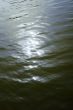 Sunny water surface