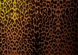 leopard skin