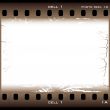 brown grunge film cell