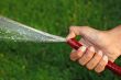 Watering grass