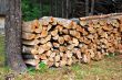 Wood pile