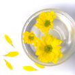 yellow flowers