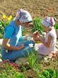 flowers sowing together