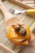 Mussel starter