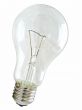 bulb