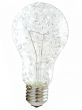 break bulb