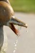 Fountain details