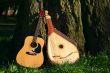 two instrumets near tree