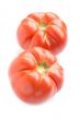 Two tomato on white