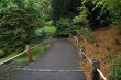 Road with a wooden fence