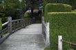 Nice wooden bridge with the running squirrel