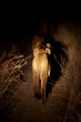 Hunting lion cub