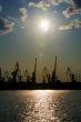 Silhouettes of harbor cranes