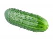 Cucumber.