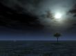 full moon