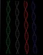 Coputer generated model of DNA