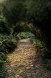 Beautiful park with trees in France