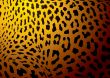 leopard skin gold