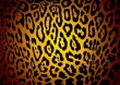 jaguar skin