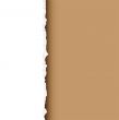 brown tear divide