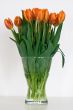 Bush of tulips