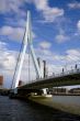 Erasmus Bridge in Rotterdam