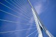 Erasmus Bridge. Details