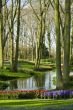 Scenic garden in Lisse Netherlands