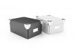 Cardboard storage boxes isolated view
