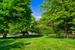 Colourful park in spring time.